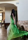 90s Prom Dress Ombre Green Spaghetti Straps Backless Gala Gown Evening Dress Party Outfits HZ0319