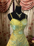 Elegant Prom Dress Spaghetti Straps Pleated Prom Gown Evening Dress Gala Dress Business Dinner Dress HZ0319