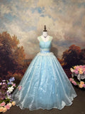Sweet Prom Dress V-neck Ball Gown Evening Dress Gala Dress Sweet 16 Dress HZ0319