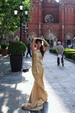 Elegant Prom Dress One Shoulder Pleated Mermaid Gala Dress Evening Dress HZ0319