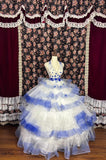 Pretty Prom Dress Halter Pleated Tulle Evening Dress Birthday Party Dress Ball Gown HZ0319