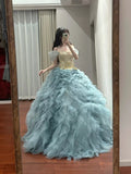 Elegant Prom Dress Off Shoulder Tiered Tulle Ball Gown Birthday Party Dress Princess Dress HZ0319
