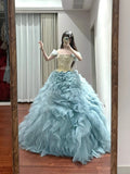 Elegant Prom Dress Off Shoulder Tiered Tulle Ball Gown Birthday Party Dress Princess Dress HZ0319
