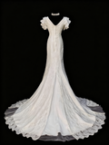 Retro Wedding Dress V-neck Lace Wedding Dress HZ0319