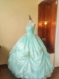 Sweet Prom Dress Crew Neck Tulle Pleated Ball Gown Evening Dress Sweet 16 Dress Birthday Party Outfits HZ0319