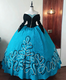 Elegant Prom Dress Sweetheart Long Sleeves Ball Gown Evening Dress Sweet 16 Dress Birthday Party Outfits HZ0319