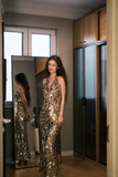 Shiny Prom Dress V-neck Backless Sequins Birthday Party Dress Evening Dress Cocktail Dress HZ0319